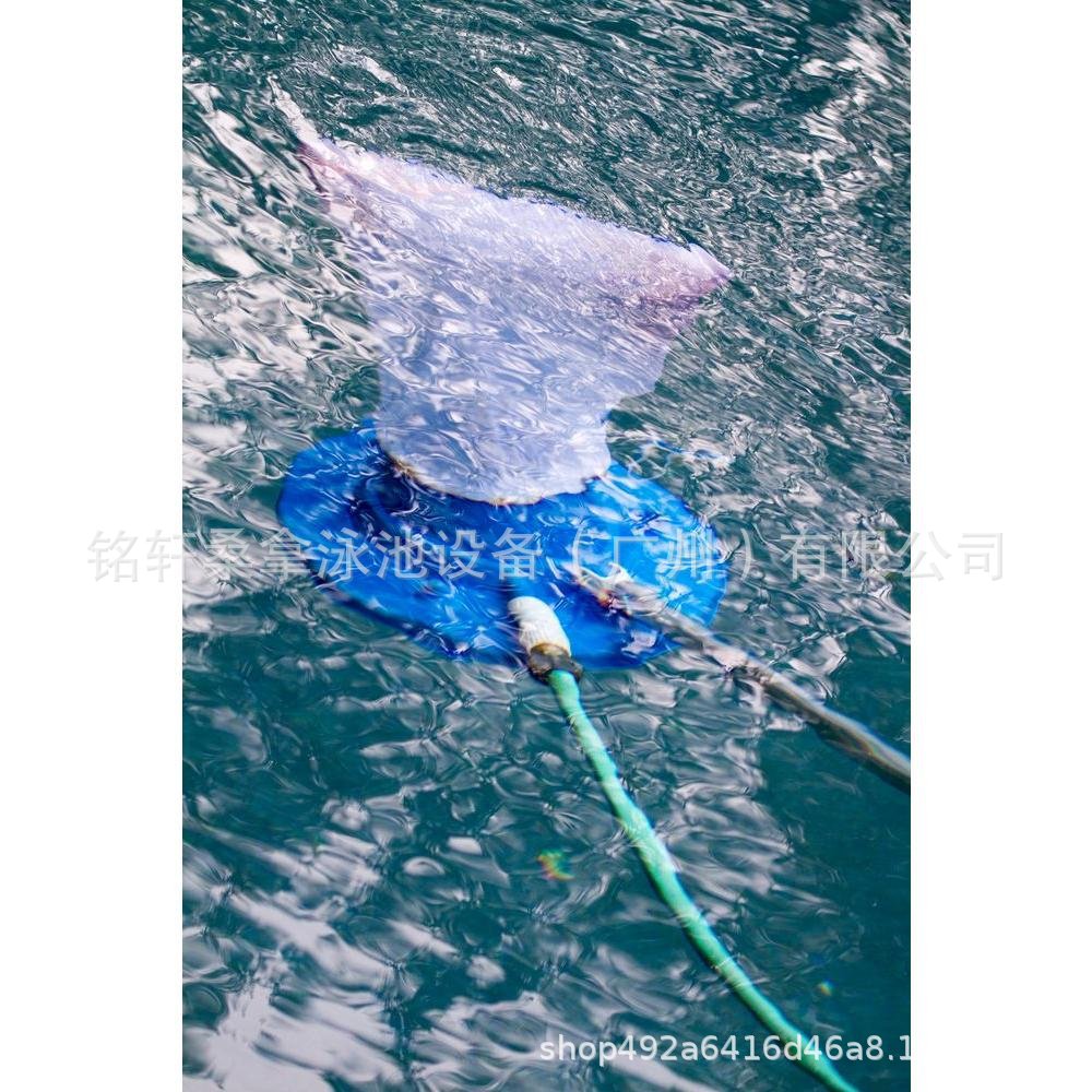 Swimming Pool Suction Head Vac - đánh giá và giá Pool Vacuum Head Brush